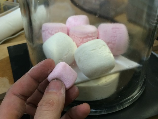 marshmallow gauge