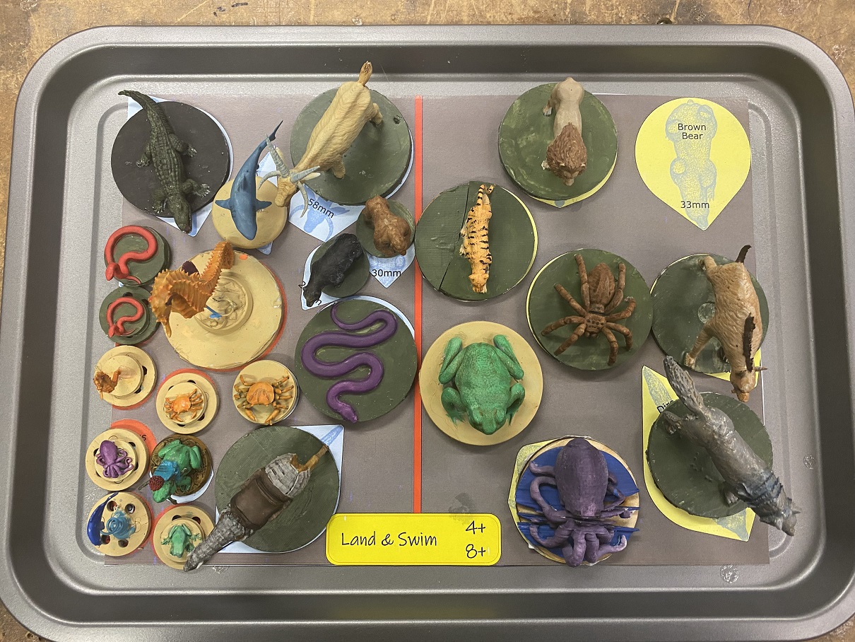 Wildcase tray missing v01